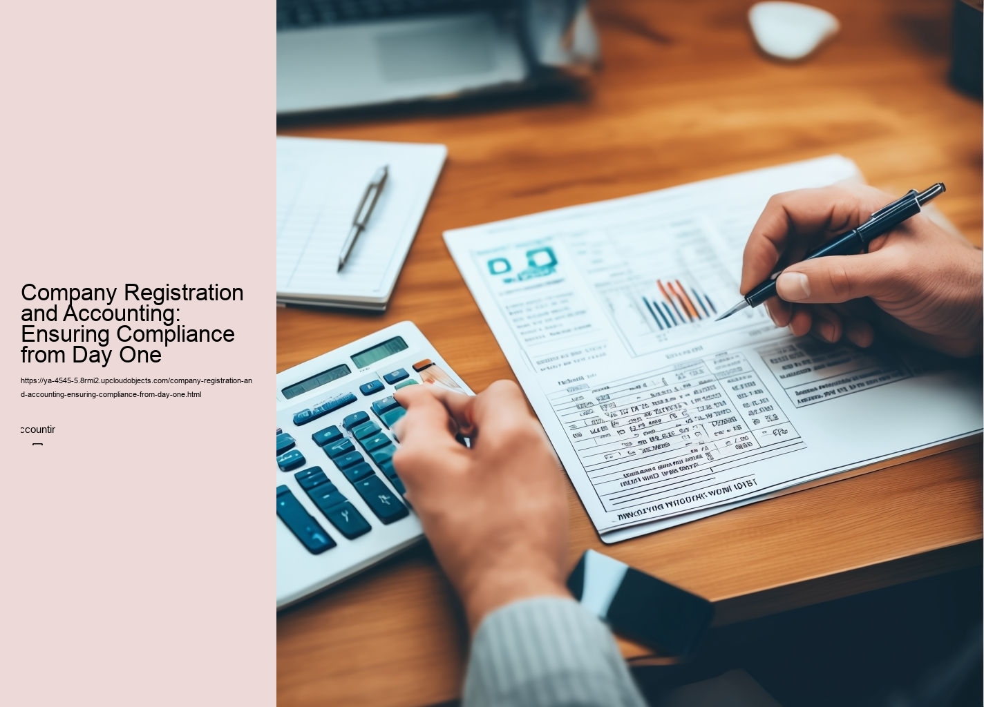 Company Registration and Accounting: Ensuring Compliance from Day One