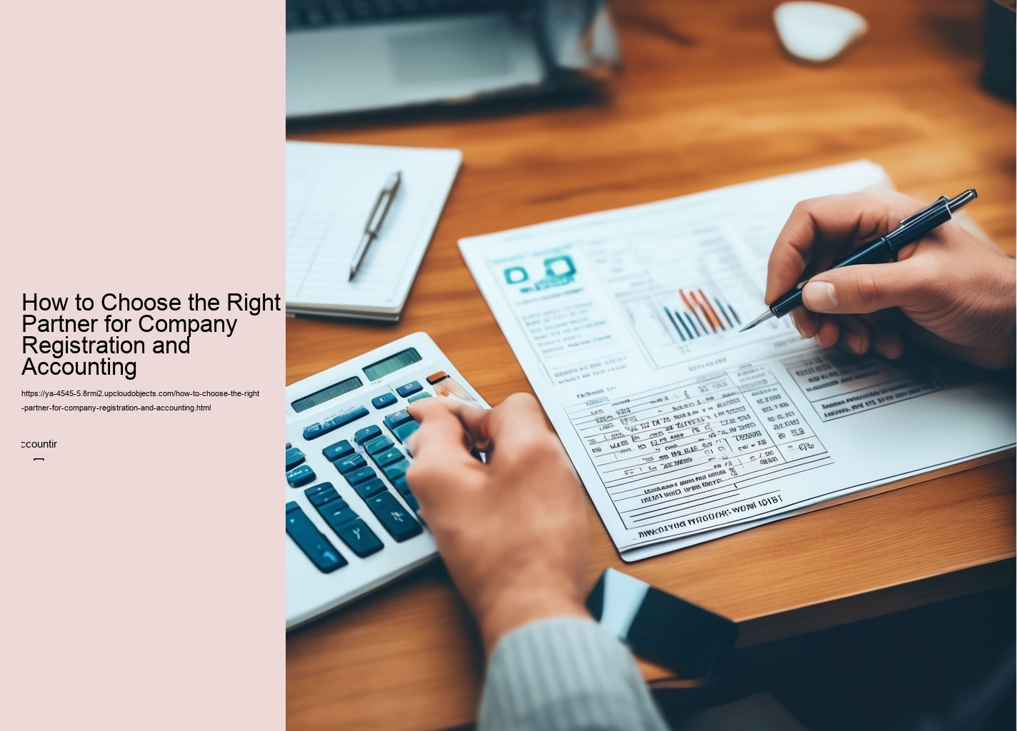 How to Choose the Right Partner for Company Registration and Accounting